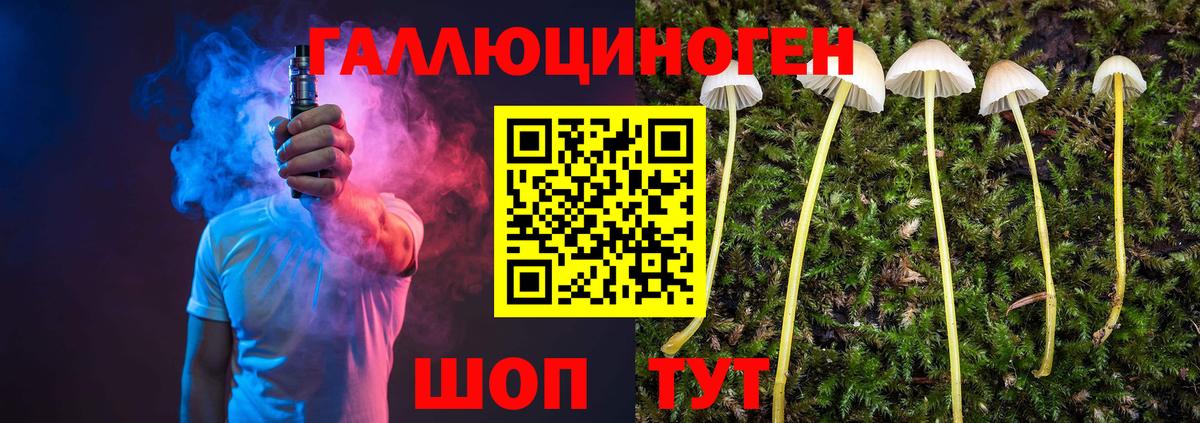 Псилоцибиновые грибы Cubensis  продажа наркотиков  Вход с VPN  Хабаровск  Галлюциногенные грибы Magic Shrooms 