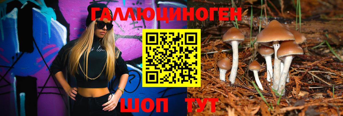 Галлюциногенные грибы Cubensis Хабаровск